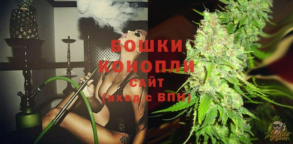 ГАЛЛЮЦИНОГЕННЫЕ ГРИБЫ Касимов