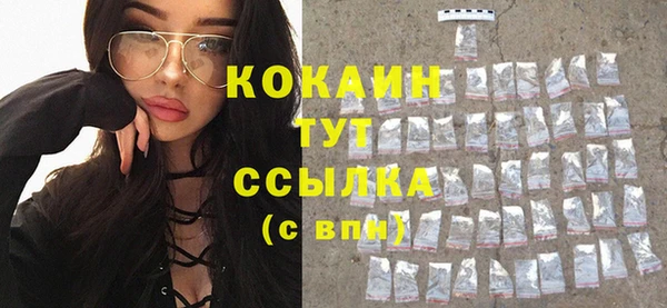 ГАЛЛЮЦИНОГЕННЫЕ ГРИБЫ Касимов
