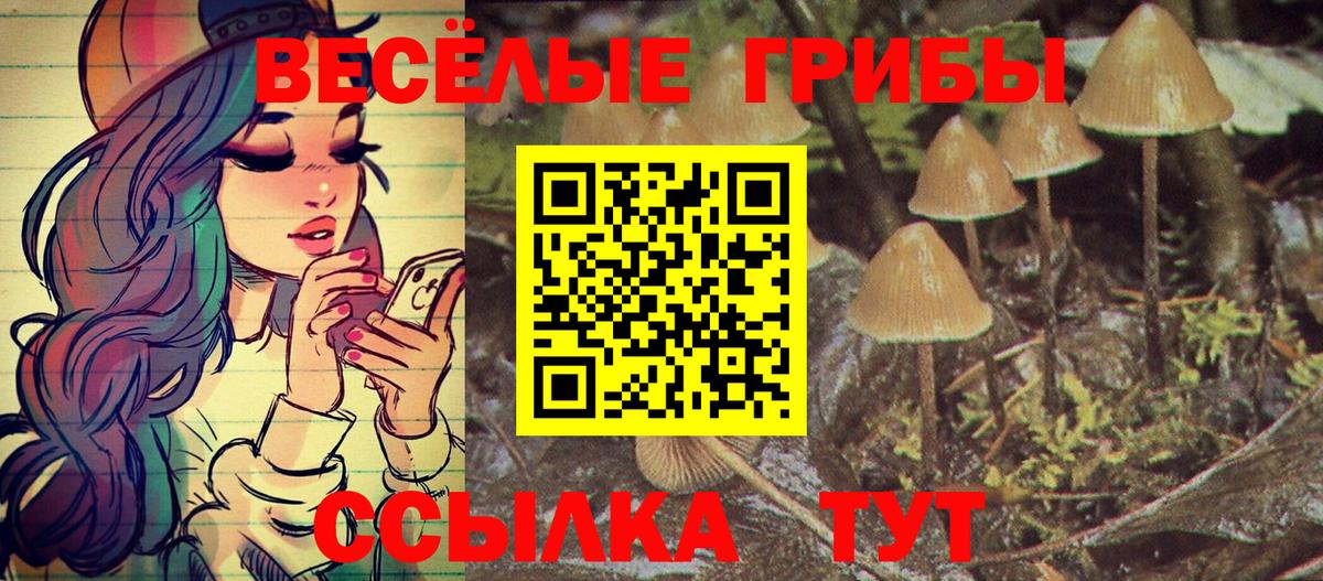 Галлюциногенные грибы прущие грибы  Галлюциногенные грибы Magic Shrooms  Коркино 