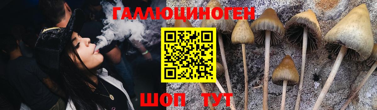 Галлюциногенные грибы GOLDEN TEACHER  Вход с VPN  Коркино 