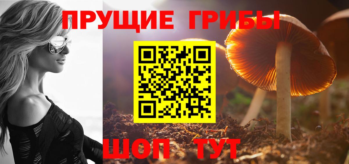 Галлюциногенные грибы GOLDEN TEACHER Коркино