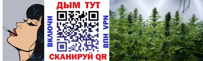 Бошки Шишки планчик  MEGA как зайти  Коркино 